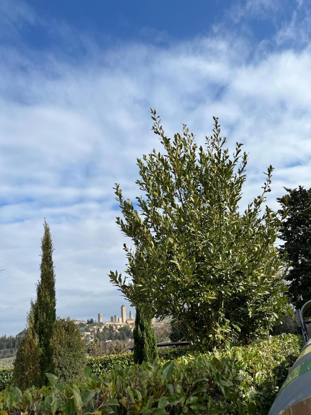 Ferienwohnung La Casina Di Cinzia San Gimignano Exterior foto